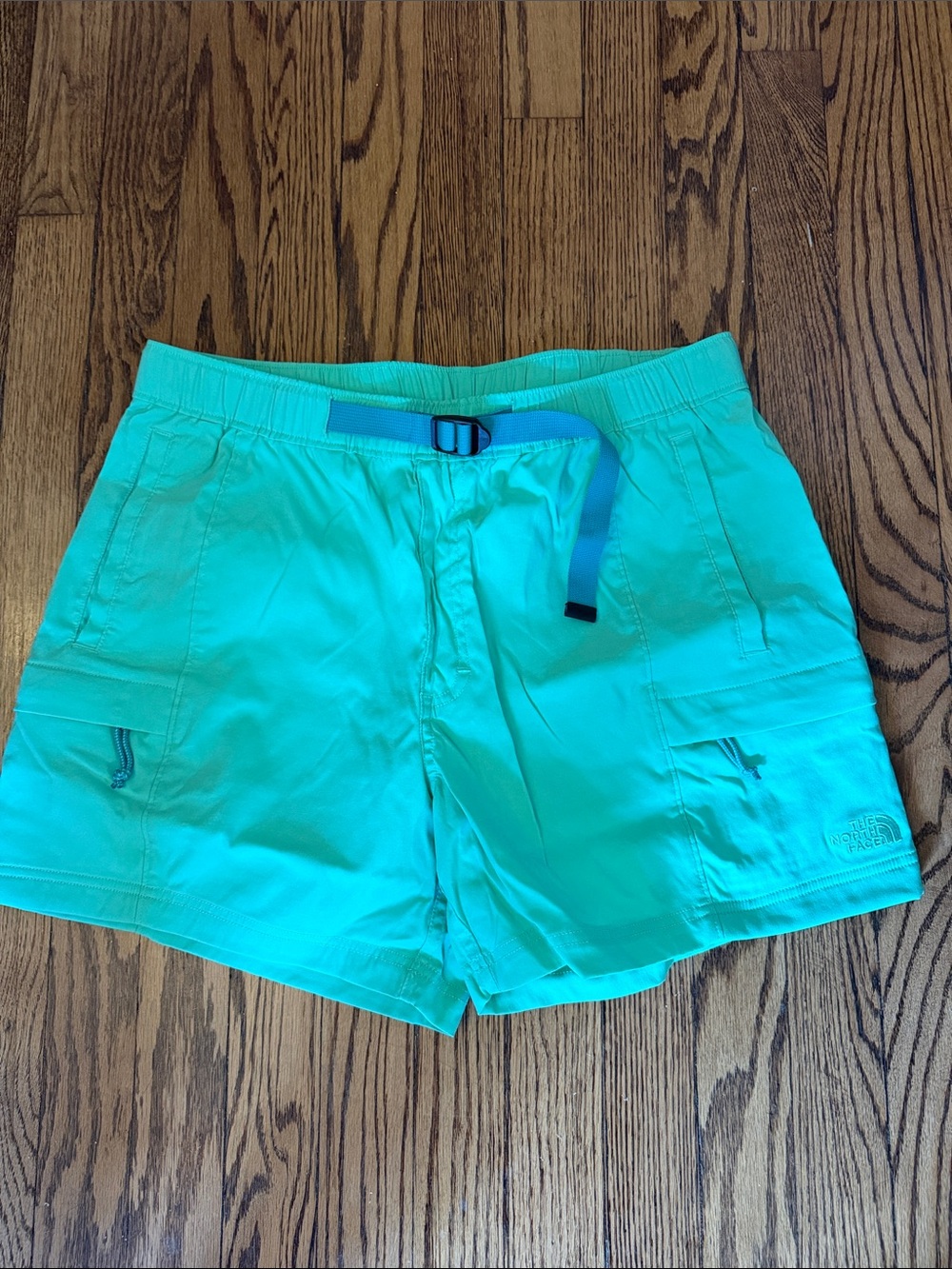 The North Face Teal Hybrid Outdoor Shorts with Belt